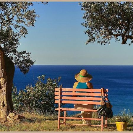 Villa Pierina 피날레리구레 외부 사진