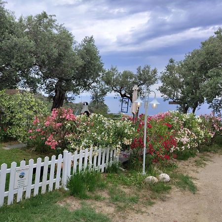 Villa Pierina 피날레리구레 외부 사진