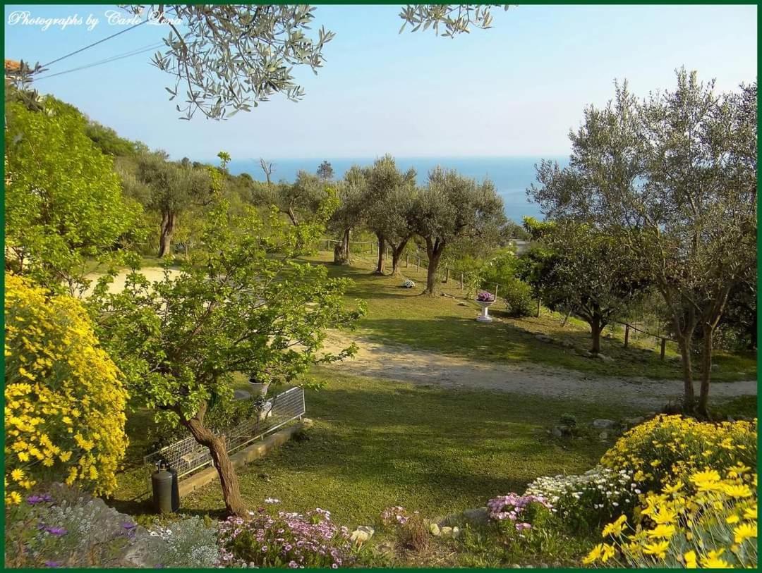Villa Pierina 피날레리구레 외부 사진