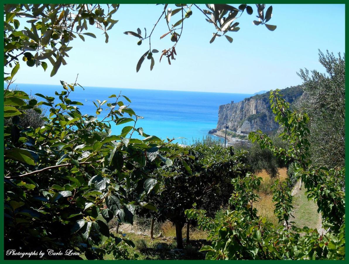 Villa Pierina 피날레리구레 외부 사진