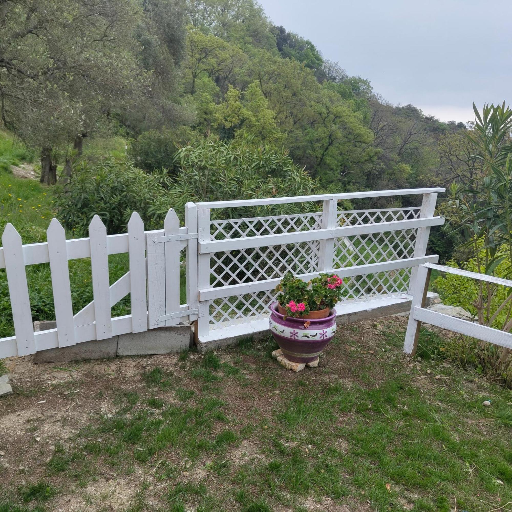 Villa Pierina 피날레리구레 외부 사진